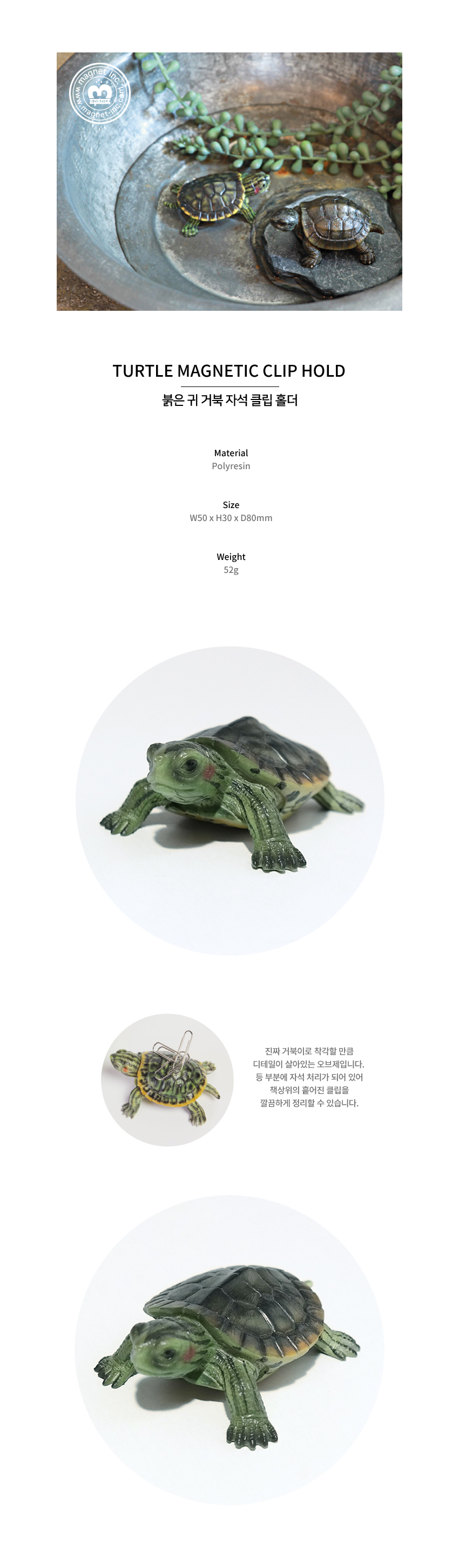 TURTLE%20MAGNETIC.jpg